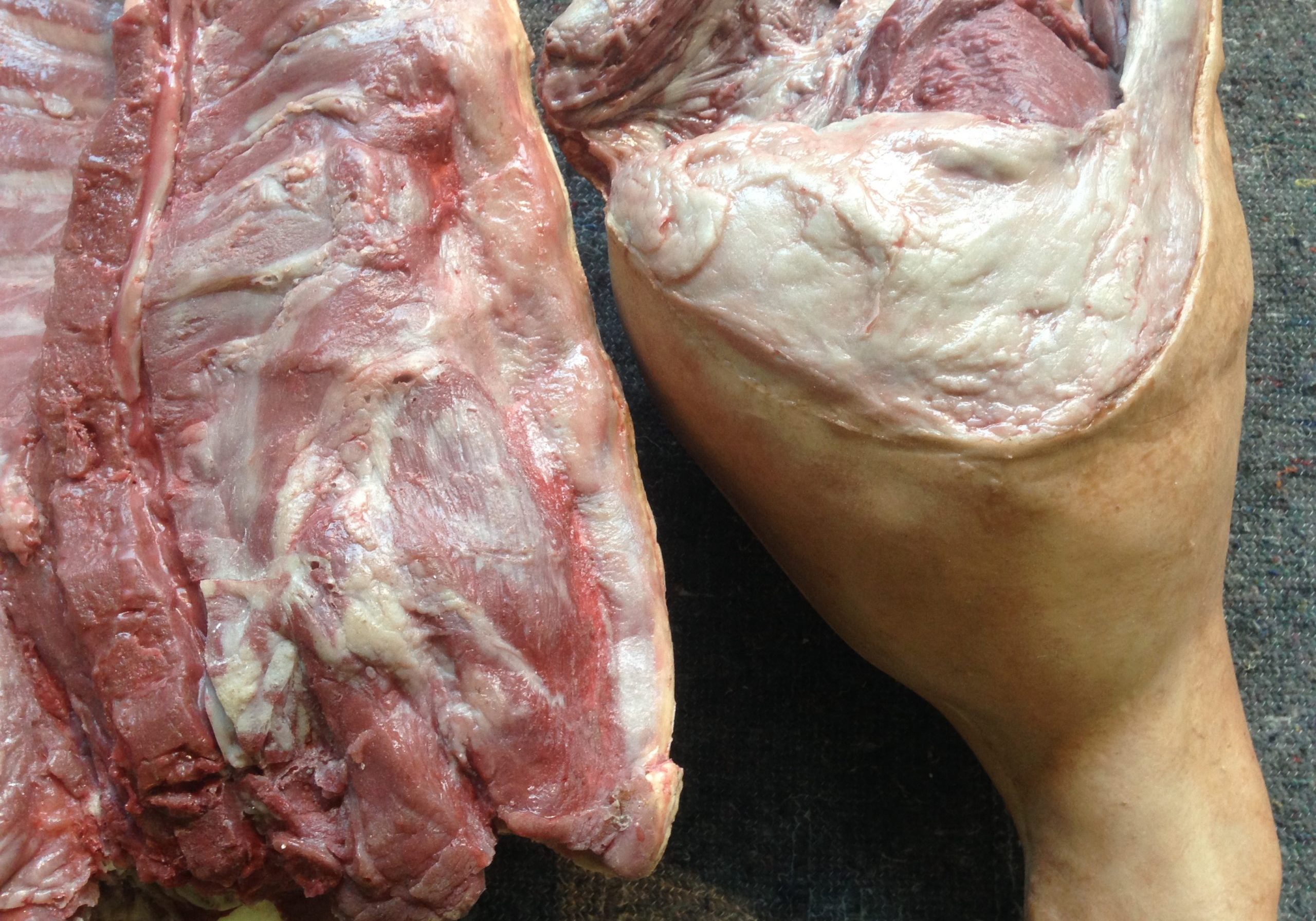 theater en film/ musea